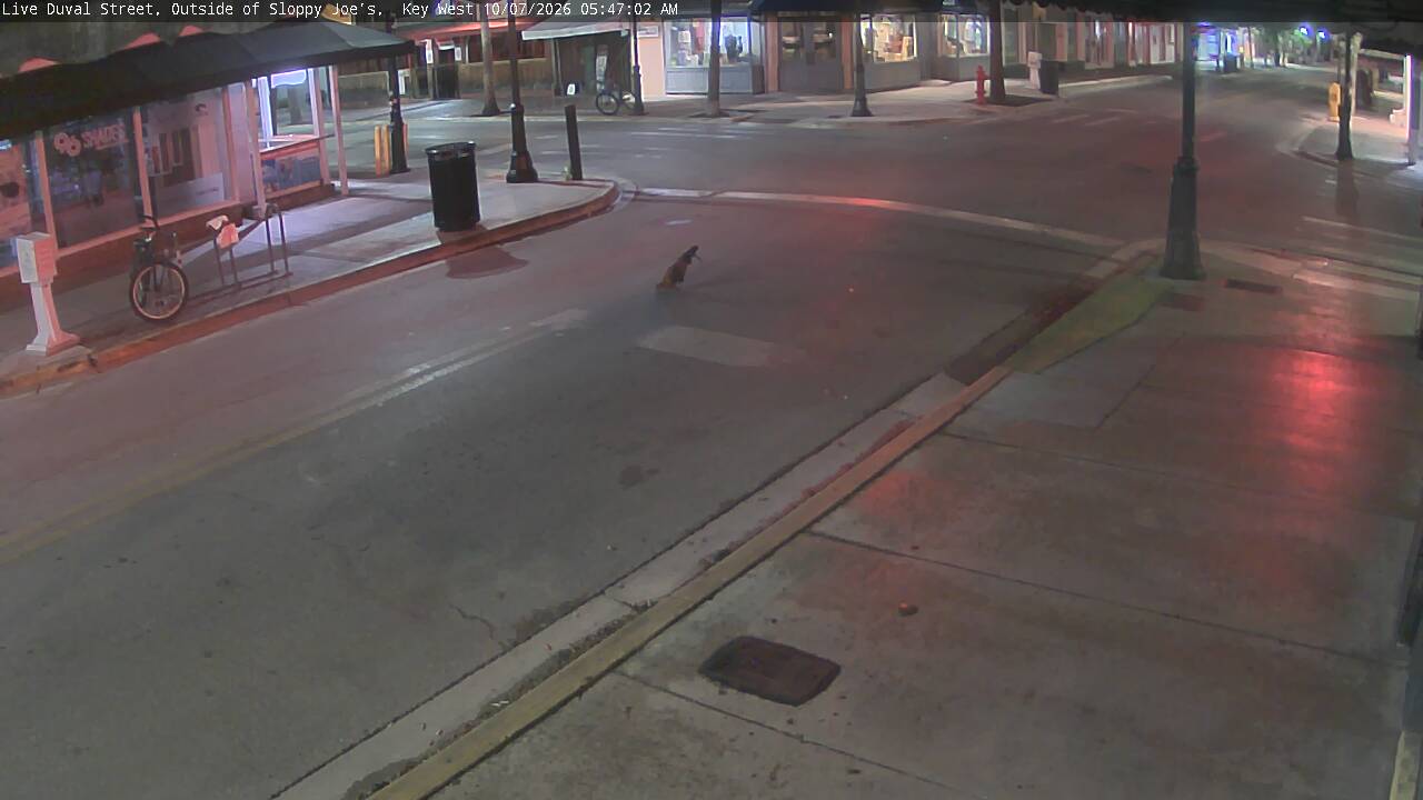 Duval Street archive snapshot