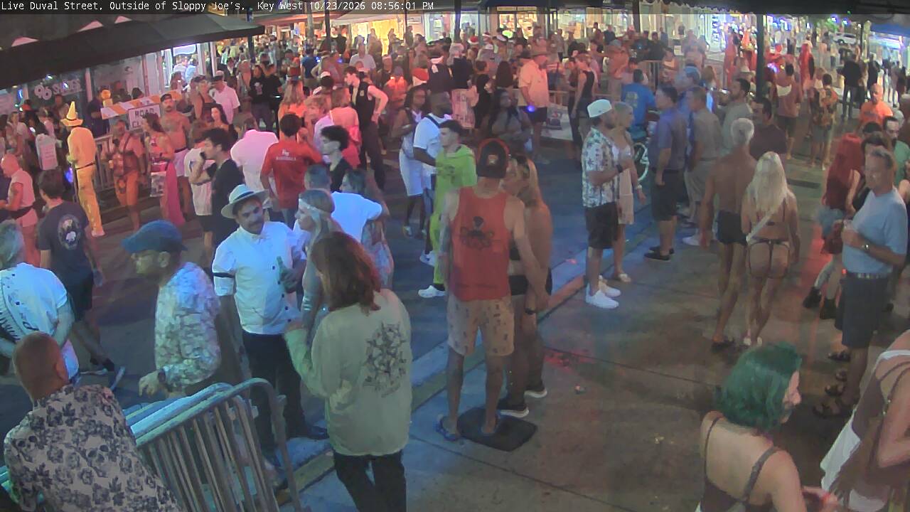 Duval Street archive snapshot