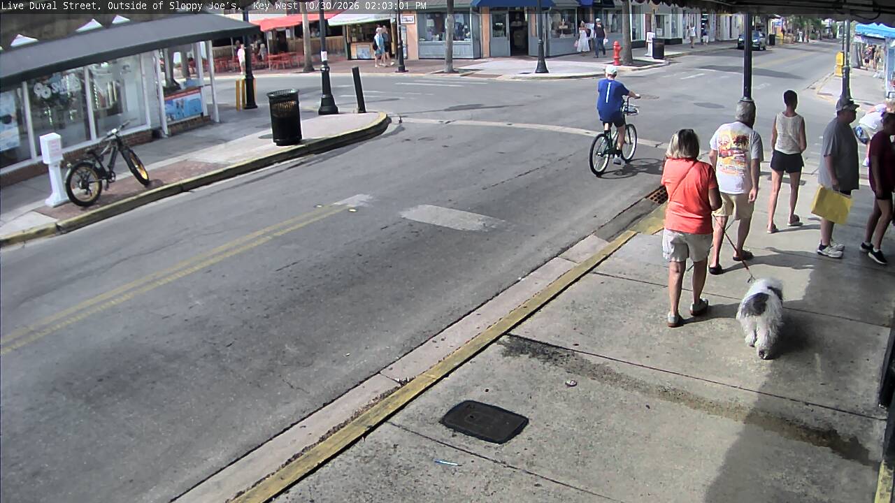 Duval Street archive snapshot